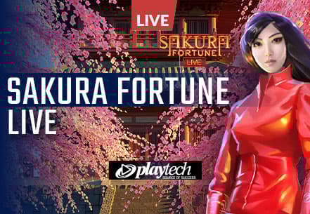 Sakura Fortune Live Sakura Fortune Live