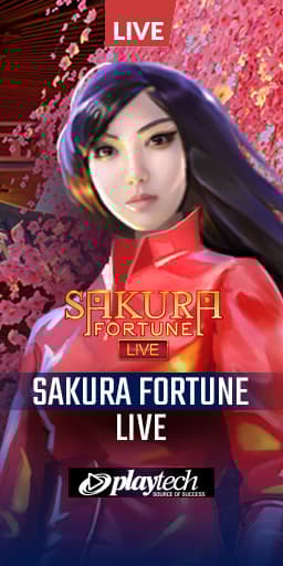 Sakura Fortune Live Sakura Fortune Live