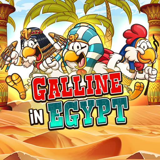 Galline in Egypt