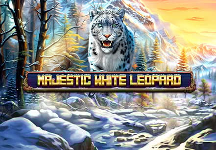 Majestic White Leopard Majestic White Leopard