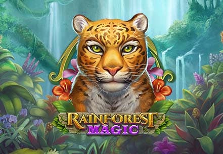 Rainforest Magic Rainforest Magic slot machine live su Eurobet
