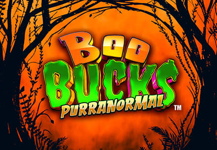 Boo Bucks Purranormal slot machine live su Eurobet