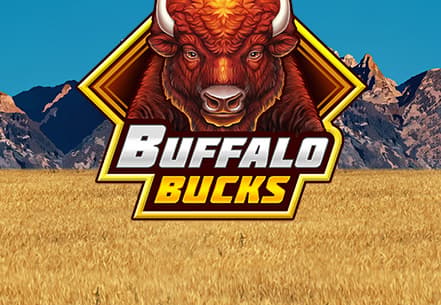 Buffalo Bucks