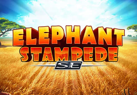 Elephant Stampede SE slot machine live su Eurobet