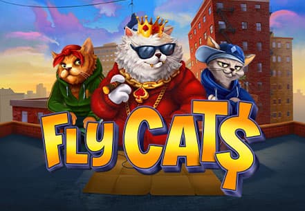 Fly Cat$ slot machine live su Eurobet