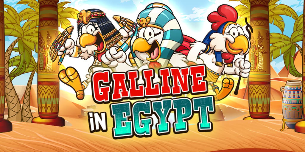 Galline in Egypt