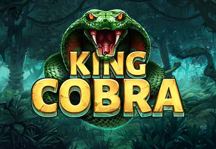 King Cobra slot machine live su Eurobet
