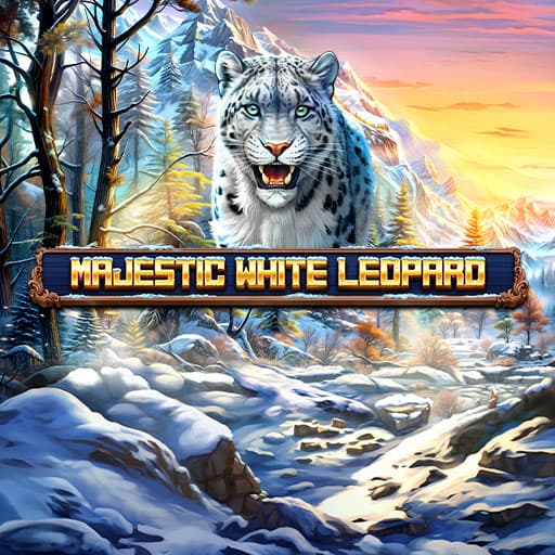 Majestic White Leopard