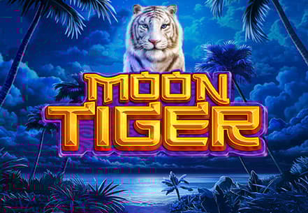 Moon Tiger slot machine live su Eurobet
