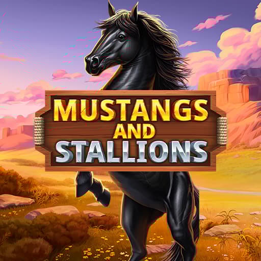 Mustangs and Stallions