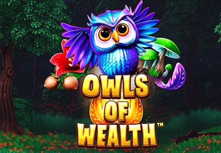 Owls of Wealth slot machine live su Eurobet