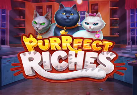 Purrfect Riches Slot machine live su Eurobet