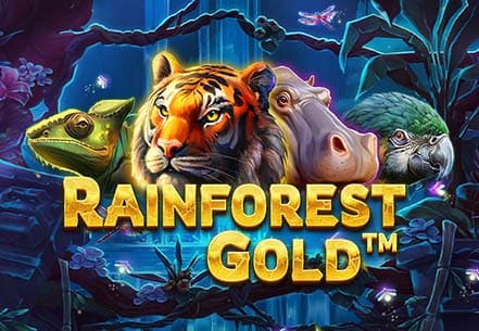 Rainforest Gold | Slot machine live su Eurobet