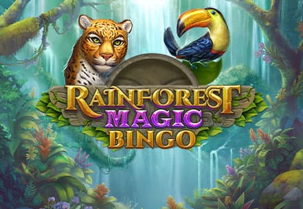 Rainforest Magic Bingo slot machine live su Eurobet