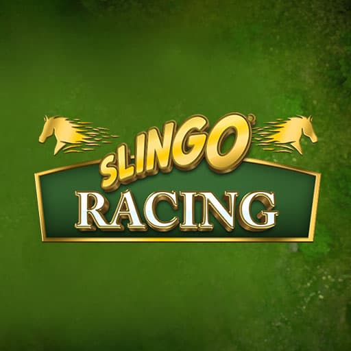 Slingo Racing