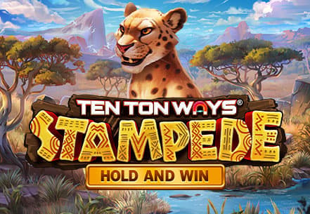 Ten Ton Ways Stampede
