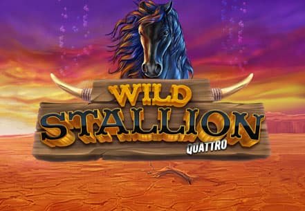 Wild Stallion 